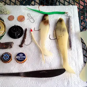 oct 17 13 OG
everything here was found on a "coin" line all app 15" to 20" deep.  Coins were from 1960 - 1999. The SS knife was found app 25"+ deep