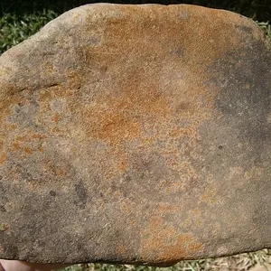 metate Marble Falls TX