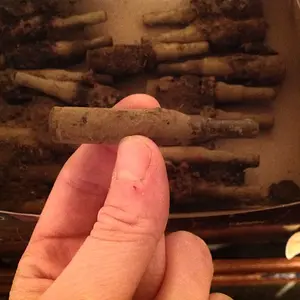 .308 blanks dug up at a park in Indiana