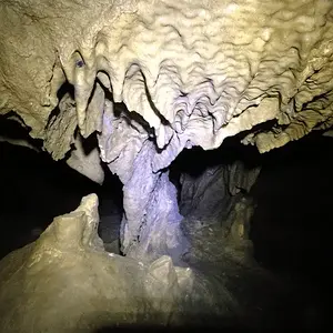 [No title]