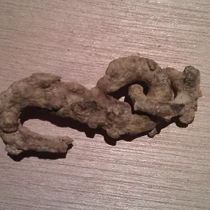 snake head buckle