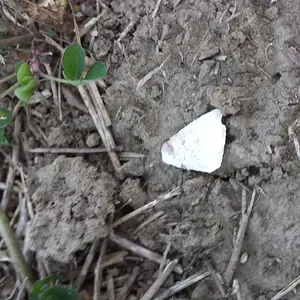 20131025 160258