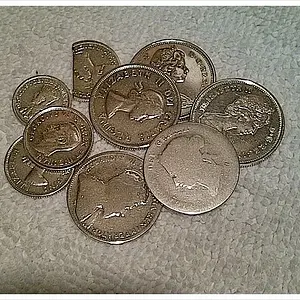 April   November Silvers