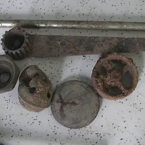More pulls from my lawn.  The Crotal bell is now clean as it has been through electrolysis.