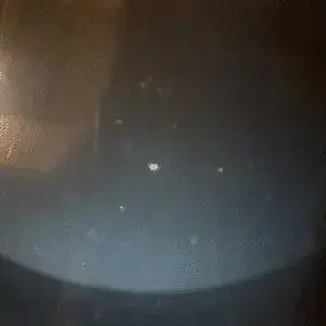 [No title]