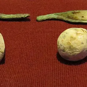 Cut bullet and "J. Wright" Name on spoon found within two feet of each other both 8" deep!