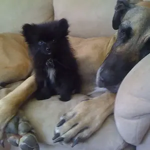 Tucker & Jersey