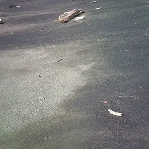 Ocean Black sands in winter- contains small gold