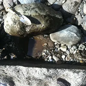 IMG 2735