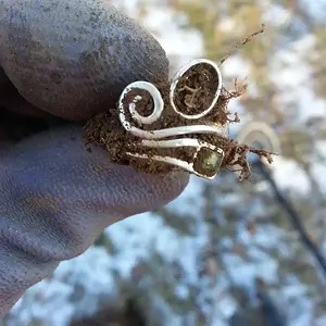 1st silver ring
