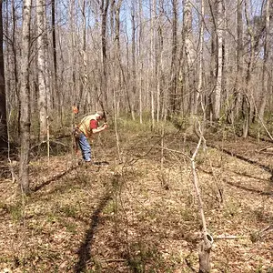 Where I love to be,in the woods