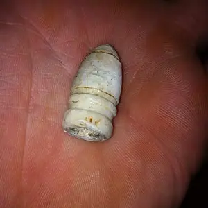 .533 Cal Gardner Bullet