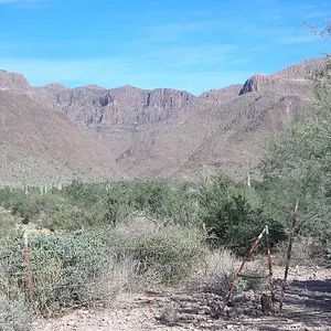 Looking toward the opening of Hog Canyon