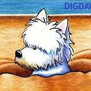 Digdaawg7474 copy