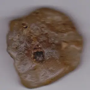 IMG 0001