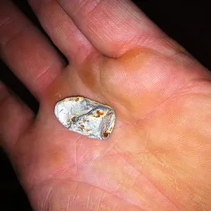 44 caliber bullet
