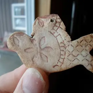 A dove I found in a wash, I know nothing about it