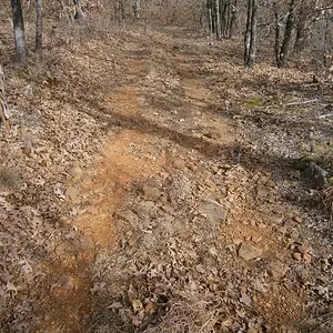 trail