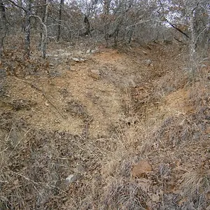 big wash near cabin