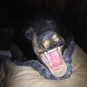 [No title]