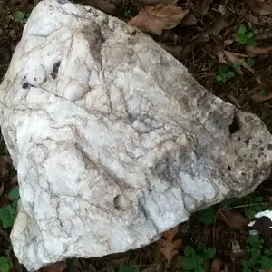 Quartz rock took three people to lift it.