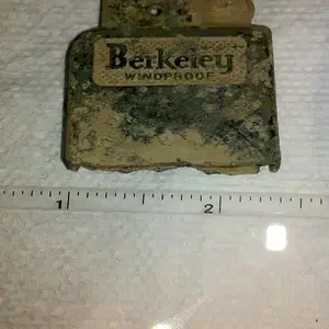 Found in my yard.