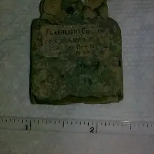 Found in my yard.