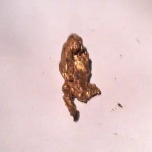 The Running Man Nugget
