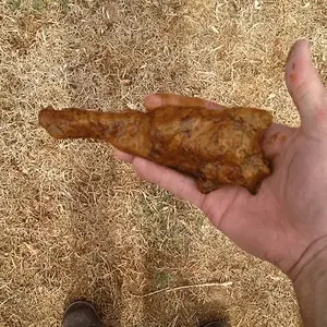 [No title]