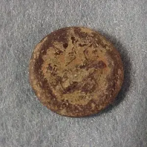 MVC 003L