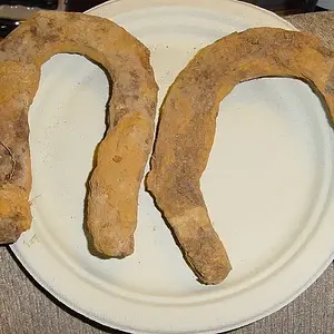 2 HORSESHOES FOUND AT A CIVIL WAR UNION CAMPSITE