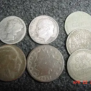 Merc, Rosie, V Nickel,  and Wheates found in Hesperia,  MI