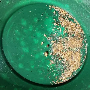 Gold found using Bazooka Gold Trap, S. Forks of Salmon River at Whites Gulch