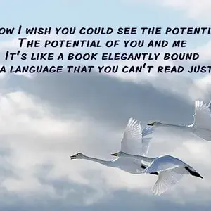 you could see the potential the potential of you and me its like a book elegantly bound but in a