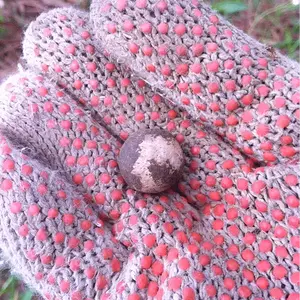 Round ball