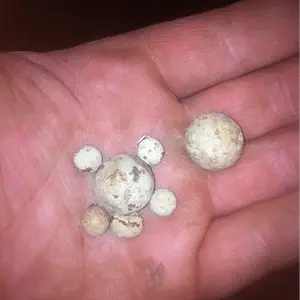 Round ball with buck balls