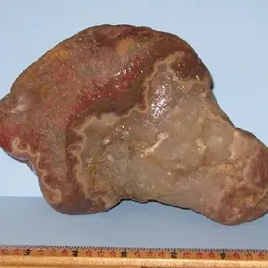 large FB 2
Side view of Fairburn above. This specimen weighs nearly 5 pounds. One of my bigger finds.