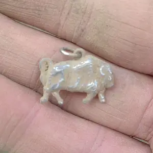 IMG 7471
silver ram charm