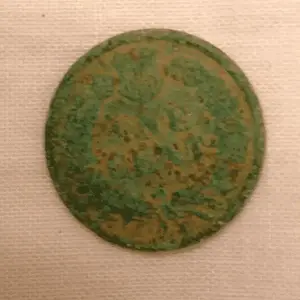 1881 Indian