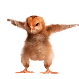 [No title]