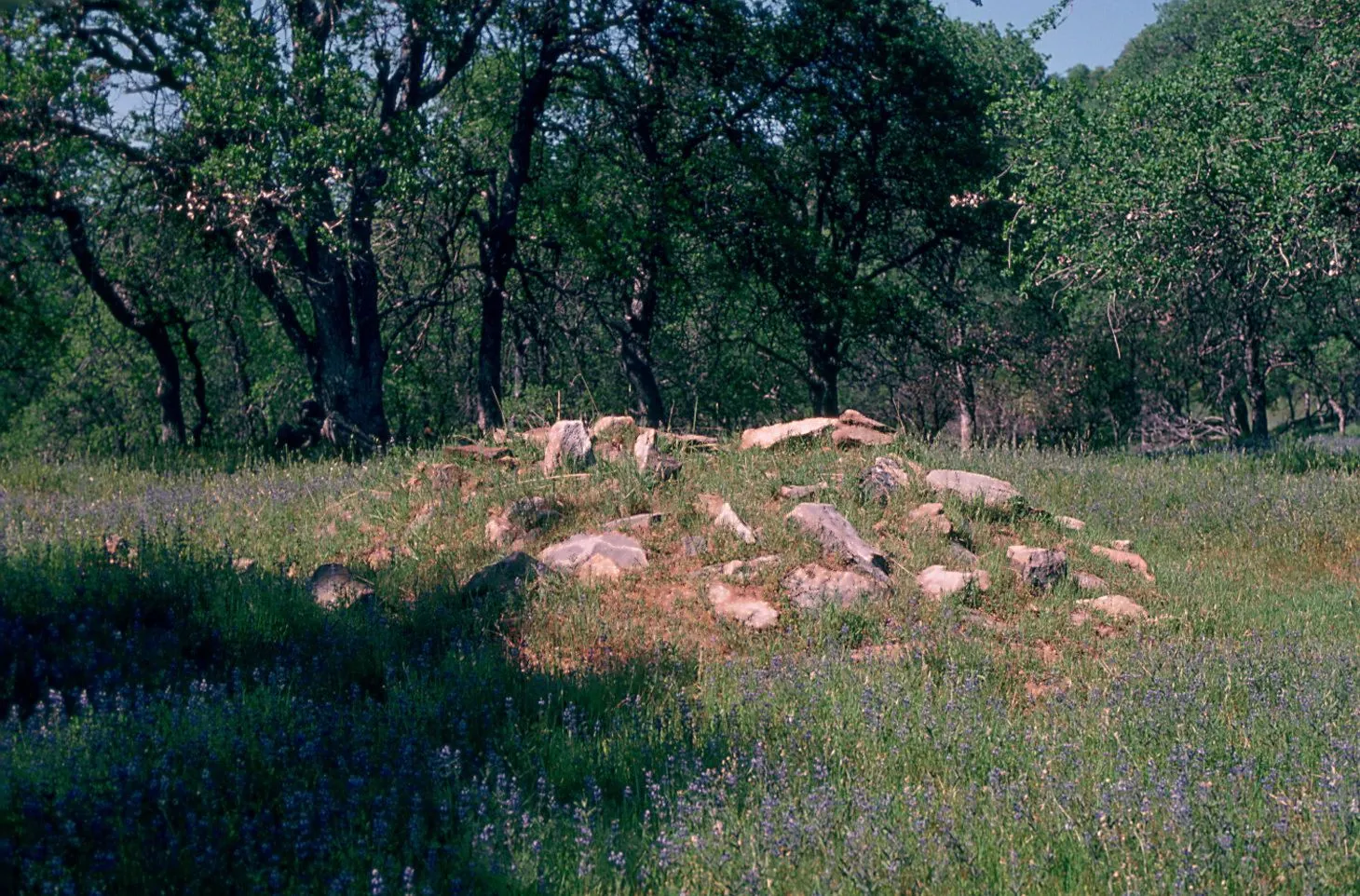 0039 Burial mound,,I no touch. Rocks stacked to keep bears from digging.