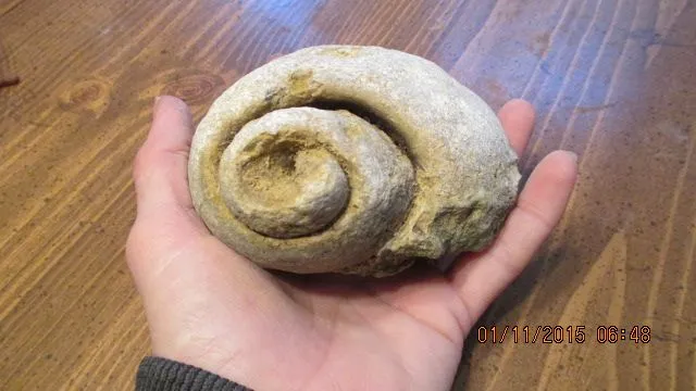 016