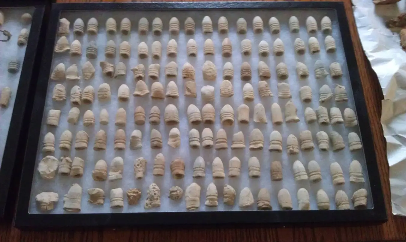 10 20 12bullets2012