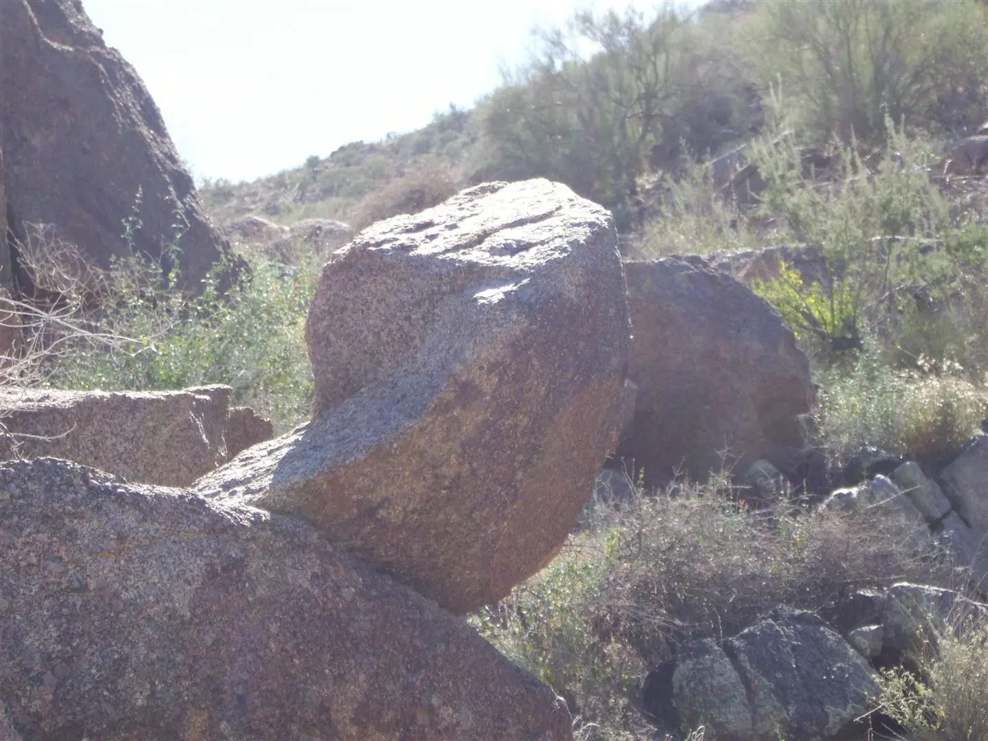 100 1813 (Large)