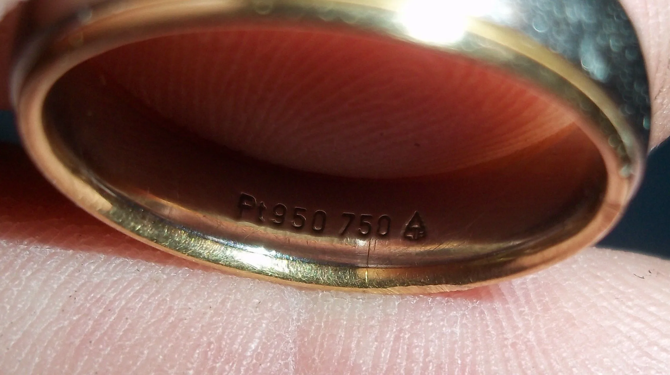 100 3695