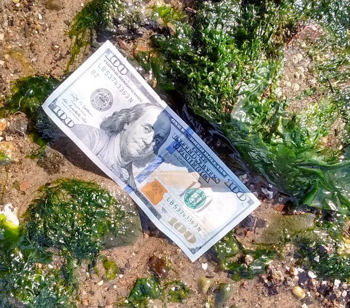 $100 bill just found on the ground.