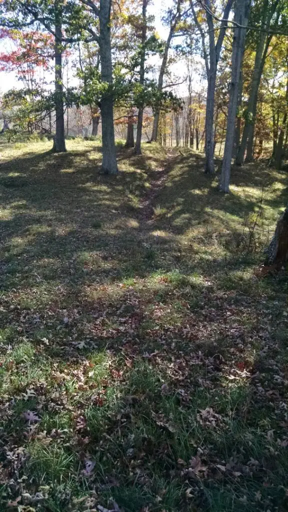 1445214407972
