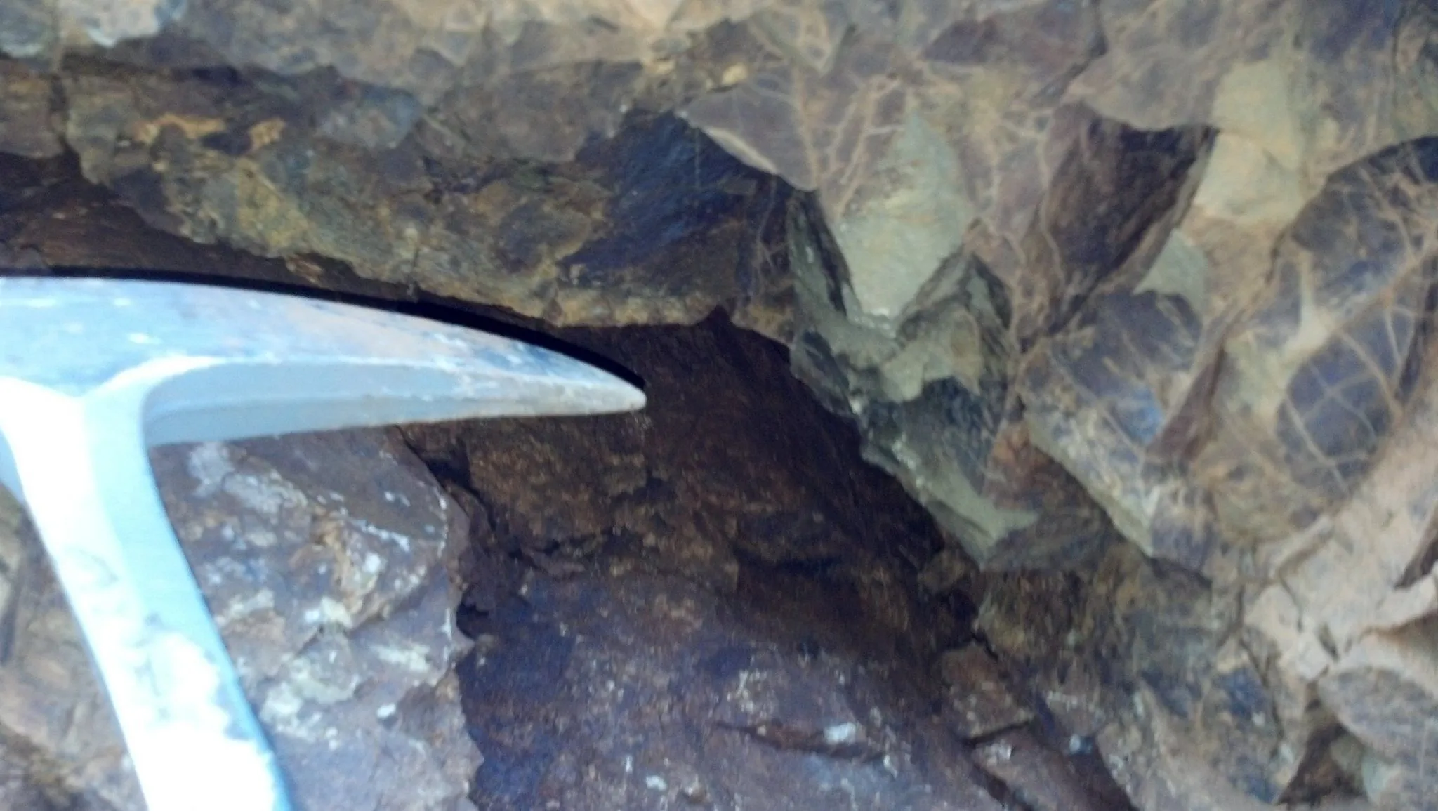 15 feet higher on the hillside, I was able to open up another pocket of neato torpedo treasure.