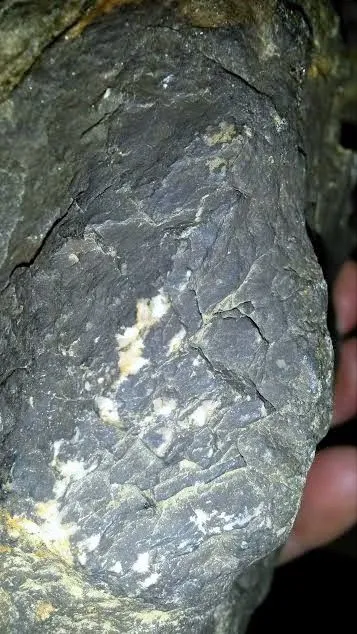 15a (2)