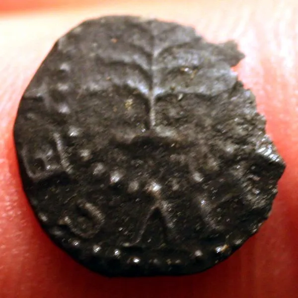 1652 Pine Tree 3 pence